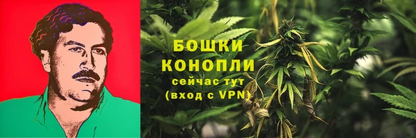 гашик Липки
