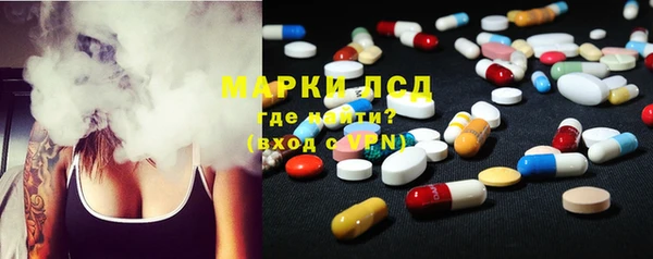 хмурый Магас