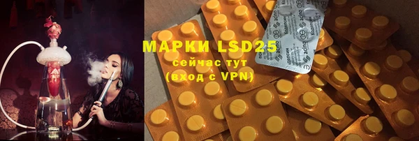 хмурый Магас