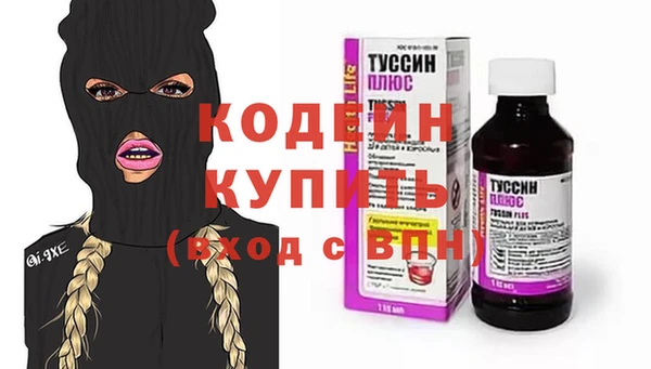 хмурый Магас