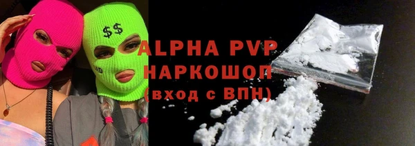 хмурый Магас