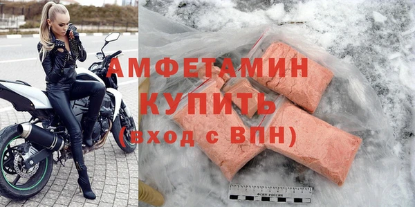 хмурый Магас