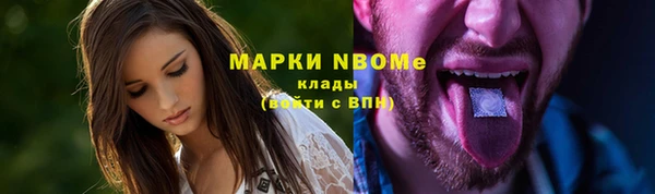 хмурый Магас