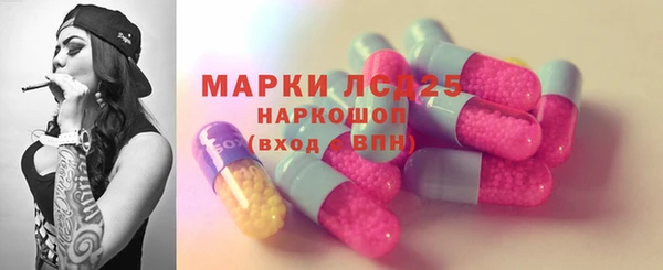 хмурый Магас