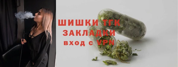 хмурый Магас
