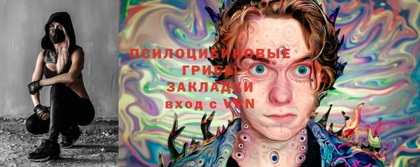 стафф Магадан