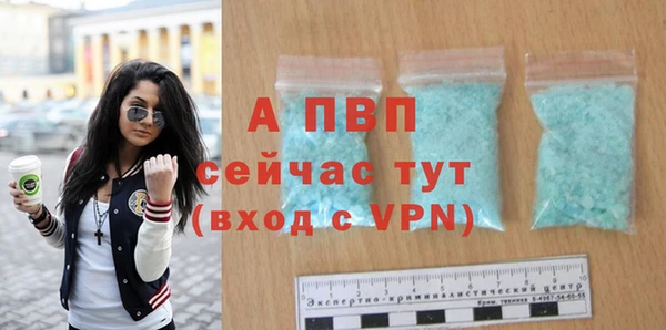 хмурый Магас
