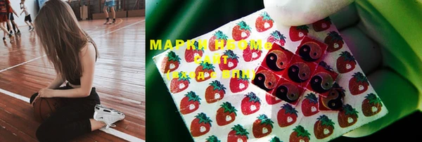 стафф Магадан